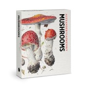 Mushrooms Knowledge Cards